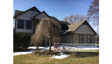 latest property